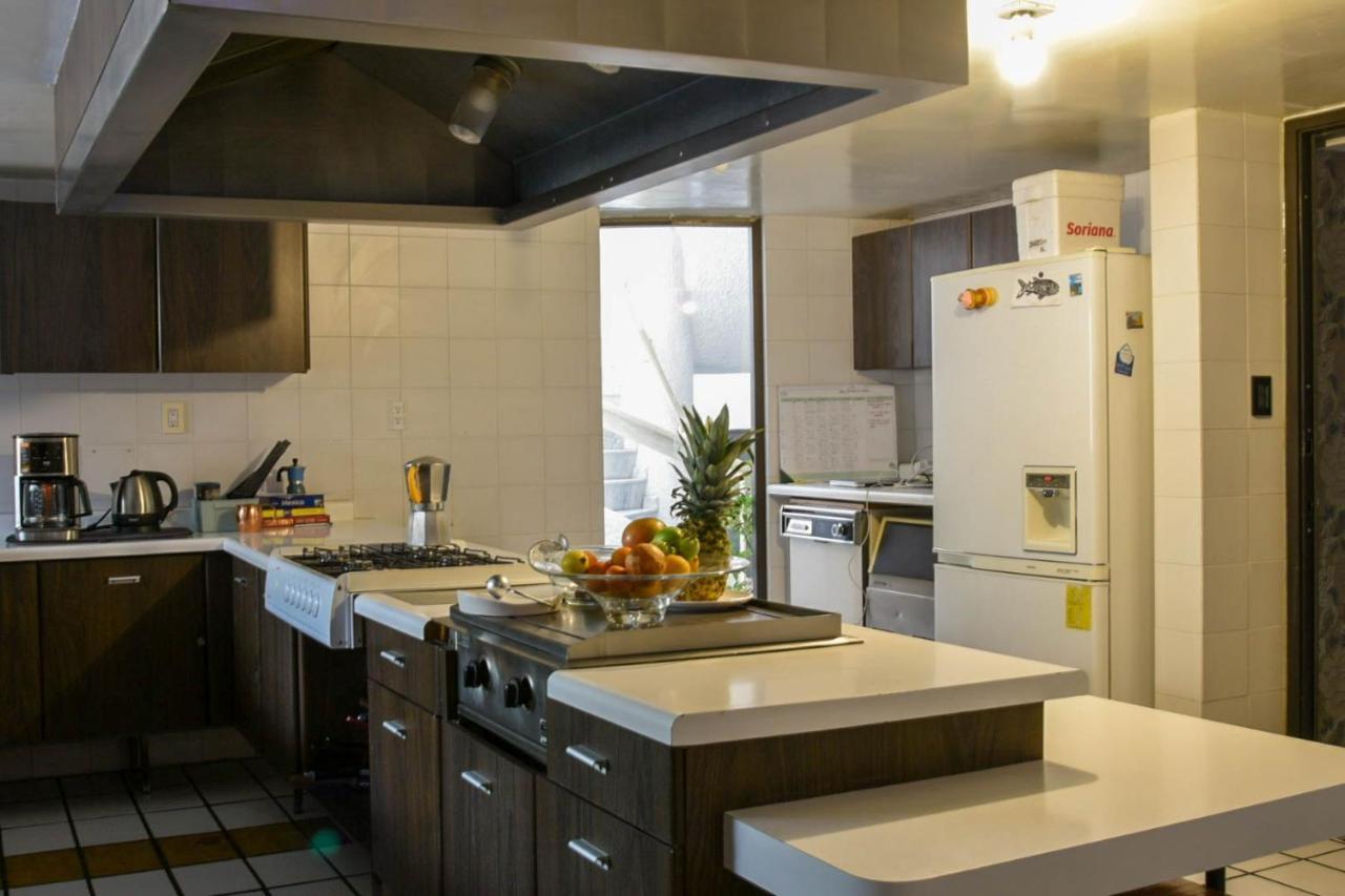 Alvaro Obregon Casa Lulu Coyoacan المظهر الخارجي الصورة