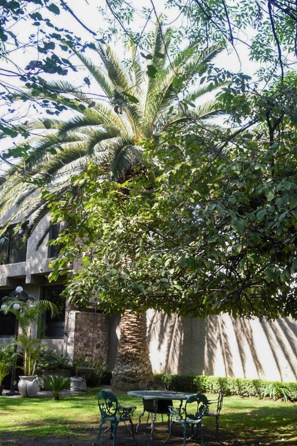 Alvaro Obregon Casa Lulu Coyoacan المظهر الخارجي الصورة