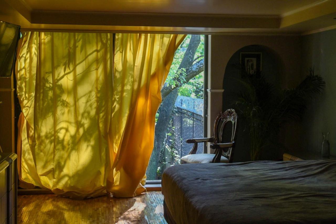 Alvaro Obregon Casa Lulu Coyoacan المظهر الخارجي الصورة